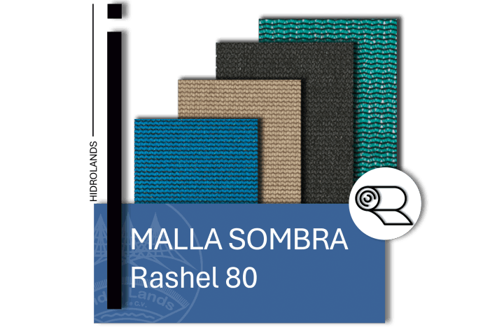 rashel80